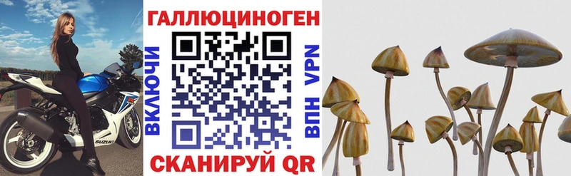 blacksprut вход  Ковылкино  Галлюциногенные грибы Cubensis 